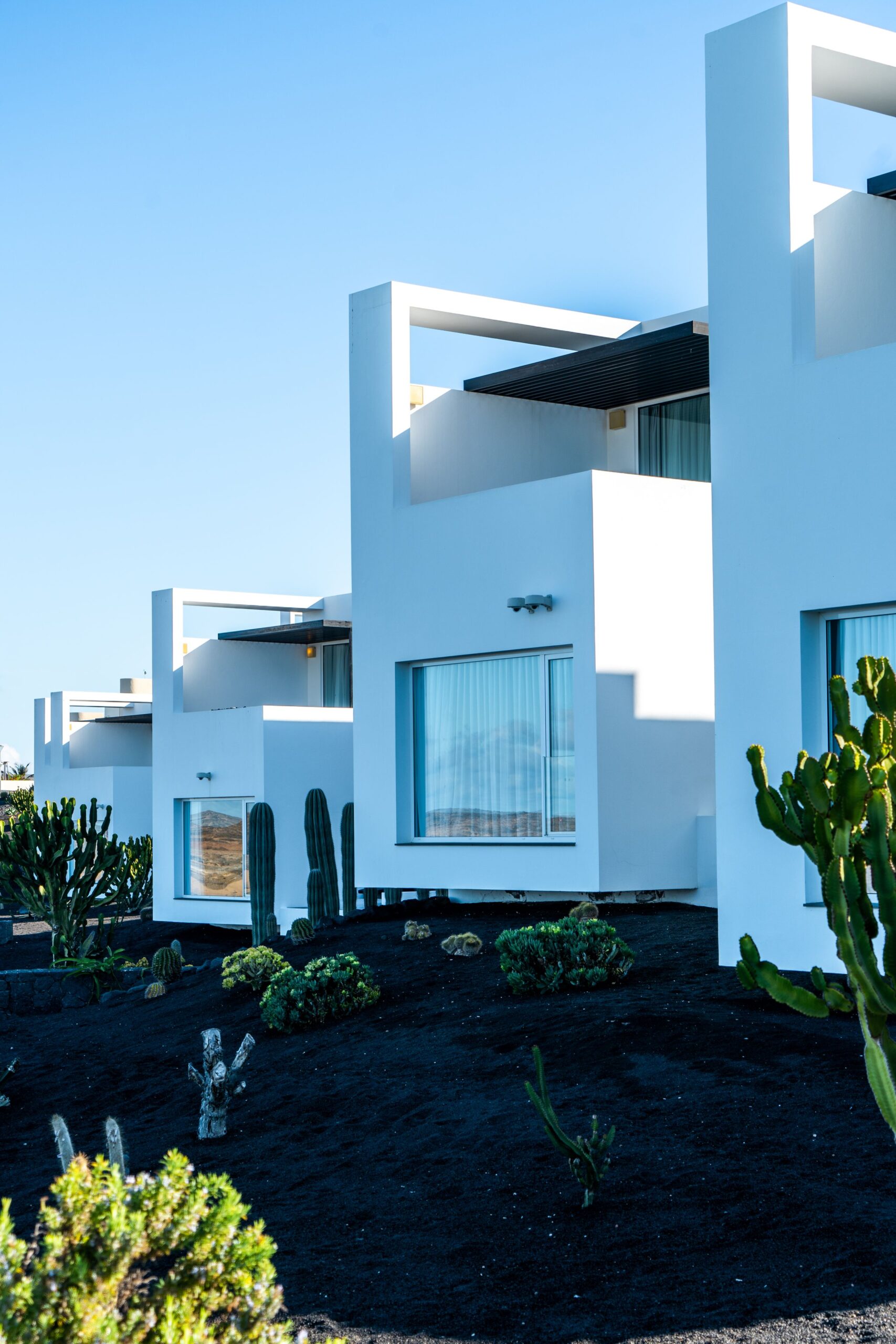 The outside of a suite, with white exterior walls and large windows. The sky is bright blue with lots of exotic plants in the garden surrounding the accommodation.